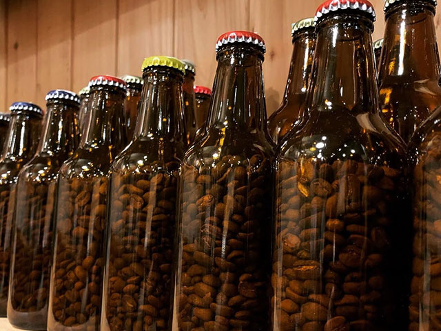 コーヒー豆イメージ08